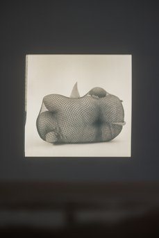 2026 02 14 Gianni Manhattan 000682 Web