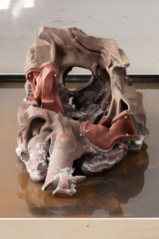 8 Laurencesturla Kbg Vienna 2023