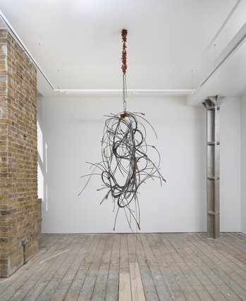 250425 Nicoletti Dsf0874 1