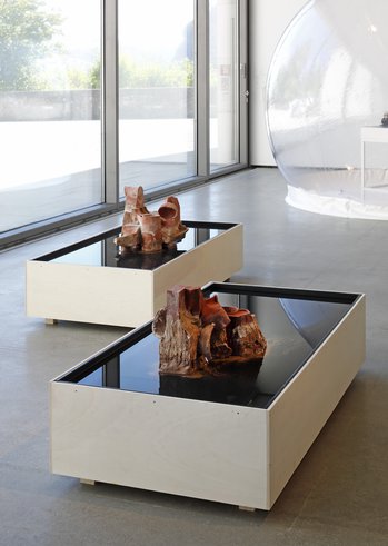 B7A7214 1 Sammlungspolitik Mdm Szb 2022