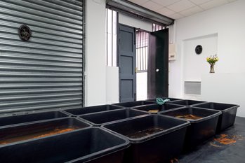 Laurencesturla Goswellroad Web Dscf3417 Copy