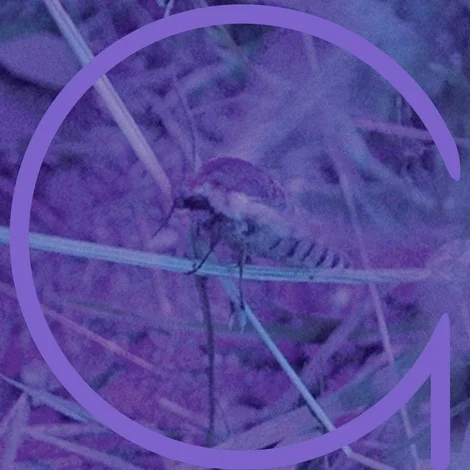 09042026 Og Zh Ig Website 3000X Q85