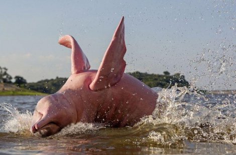 1490702898 Pvddgiknnj8R