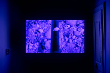 2026 04 10 Gianni Manhattan 001041 30X40