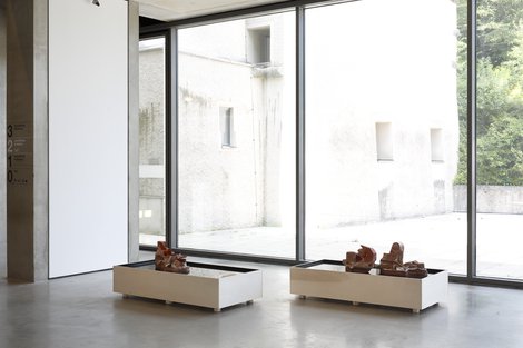 B7A7247 Sammlungspolitik Mdm Szb 2022