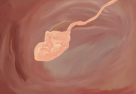 Screenshot 2022 03 10 At 161955