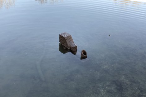 Unterholzunderstorey 2021 Laurence Sturla He Preferred A Cleaner Sky Iv 2019 Iphone Copy